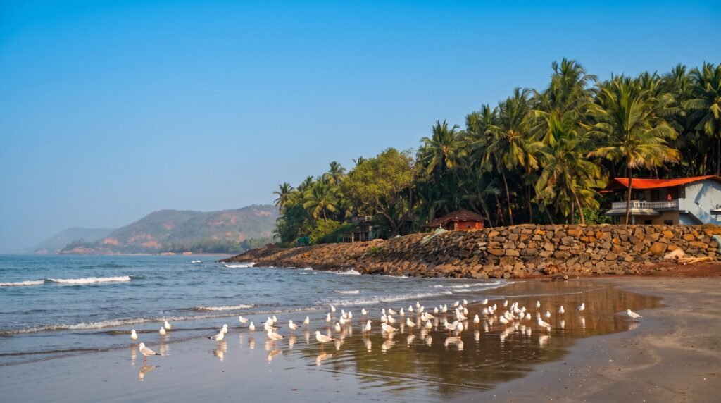 best beaches in Dapoli - Sagar Sawali beachfront resort