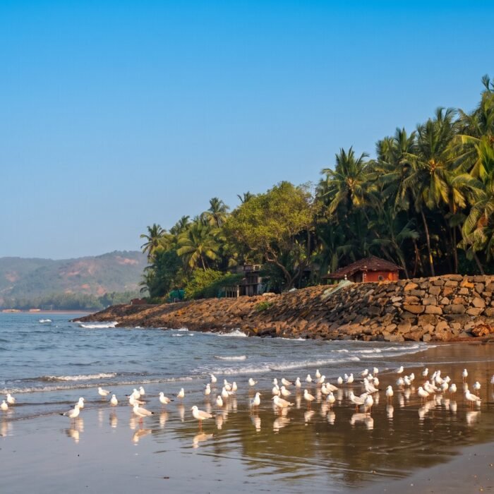 Best Beaches in Dapoli: 8 Stunning Shores You Must Visit in 2026